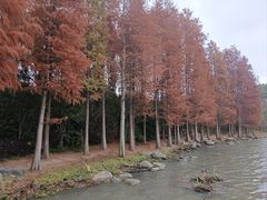 -长广溪湿地公园