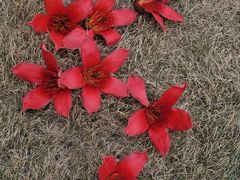 -陈李济中药博物馆