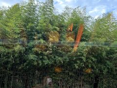 -西安凯悦酒店·湖畔中餐厅