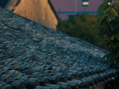 -西涌国际滨海旅游区