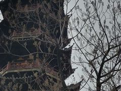 -龙华寺