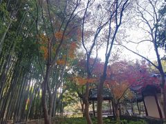 -汇龙潭