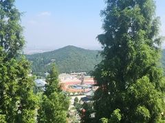 -龙口南山旅游景区