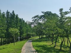 -苏州太湖国家湿地公园