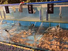 -渔家火锅·海鲜自助餐·演艺(亚龙湾天域酒店)