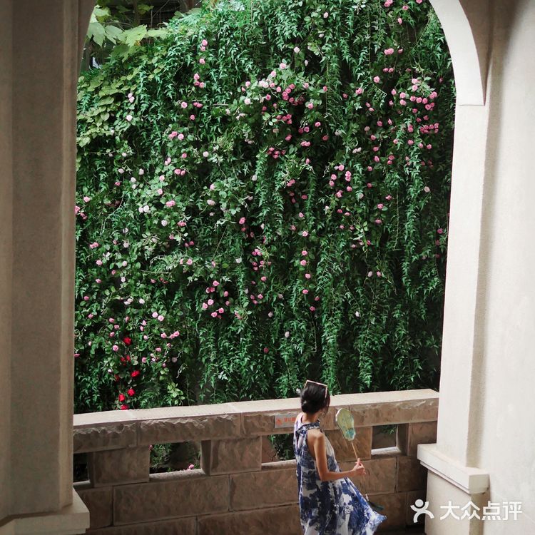 在这里拍到重庆最美的夜景丨百年遗址公园