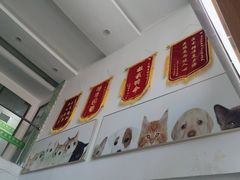 -爱侣宠医·鹦鹉专科·小型哺乳类·异宠专科(灵石路店)