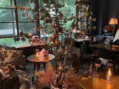 -咖法森林·咖啡  酒吧(天河店)