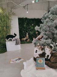 -IMON·HANSA潮玩玩偶毛绒玩具(通州万象汇店)