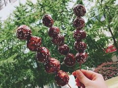 糖油果子-邓记新一代糖油果子(四川煤管局供销公司职工宿舍店)