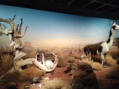 -陕西自然博物馆