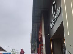 -Infica Coffee