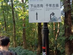 -广州市帽峰山景区