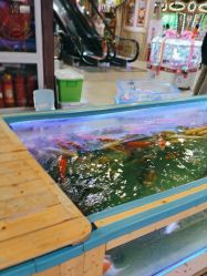 点击看大图 -卡通尼·Safari非洲探索乐园·生日会(金桥国际商业广场店)