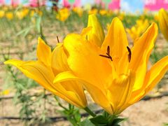 -中国农业博物馆