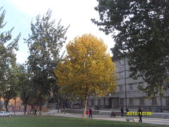 -山东大学(趵突泉校区)