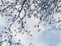 -宝山国家矿山公园