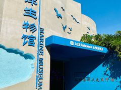 -青岛海底世界-水族馆