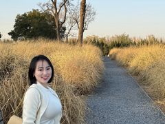 -汉长安城未央宫国家考古遗址公园