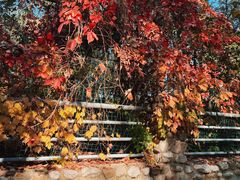 -森林公园(尖草坪区)