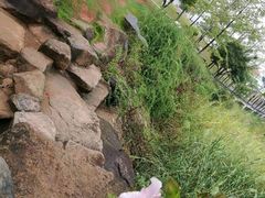 -幸福湖国际会议中心
