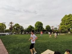 -桃园农庄·桃源宴