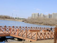 -丁香湖公园