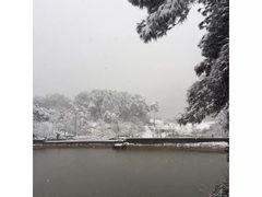 -铁山坪森林公园