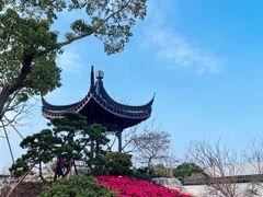 -上海滨江森林公园