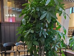 -单家老院·院子里的青岛菜(沙子口店)