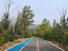-大青山野生动物园