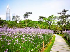 -深圳湾公园(南山区)