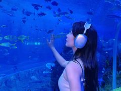 -石家庄极地海洋世界