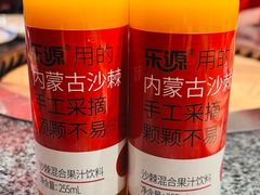 -二胖家铁锅炖大鹅(双井店)