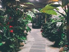 -泉城欧乐堡戏水湾艺术养生温泉