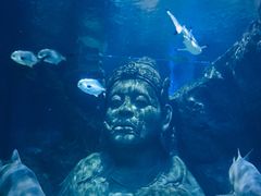 -暹罗海洋世界