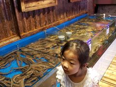-开海·红岛海鲜虾水饺(石老人店)