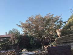 -芭东小镇温泉
