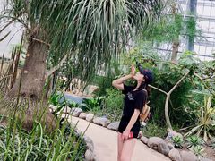 -南山植物园