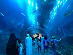 -迪拜水族馆及水下动物园