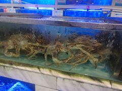 -青石桥市场北1-27号