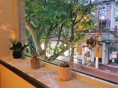 -蝶舍·MAISON PAPILLON