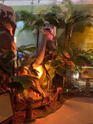 -恐龙探索乐园(磁器口店)