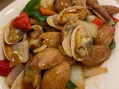 炒花甲-湛江渔港·大排档(乐园路总店)