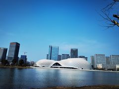 -金沙湖公园