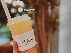 -一叶觅山(半边街店)