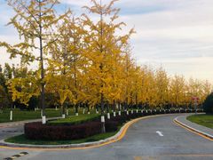 -北京园博大酒店