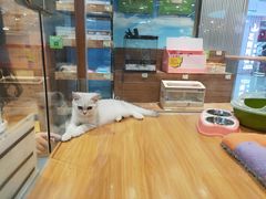 -龟与熊猫宠物公园(南坪店)