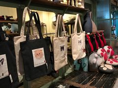 -猫咪博物馆(顶澳仔猫街店)