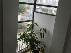 -上海市普陀区中医医院